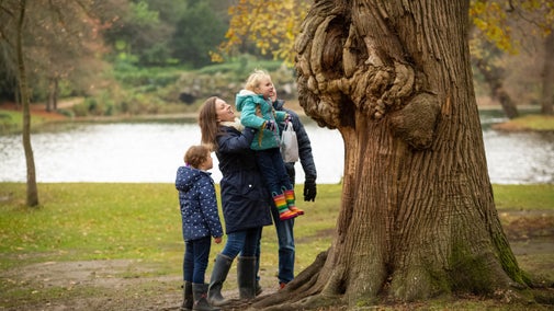 A family taking a closer look at a tree. The mother is holding the youngest child up off the ground. The Claremont lake is in the background.